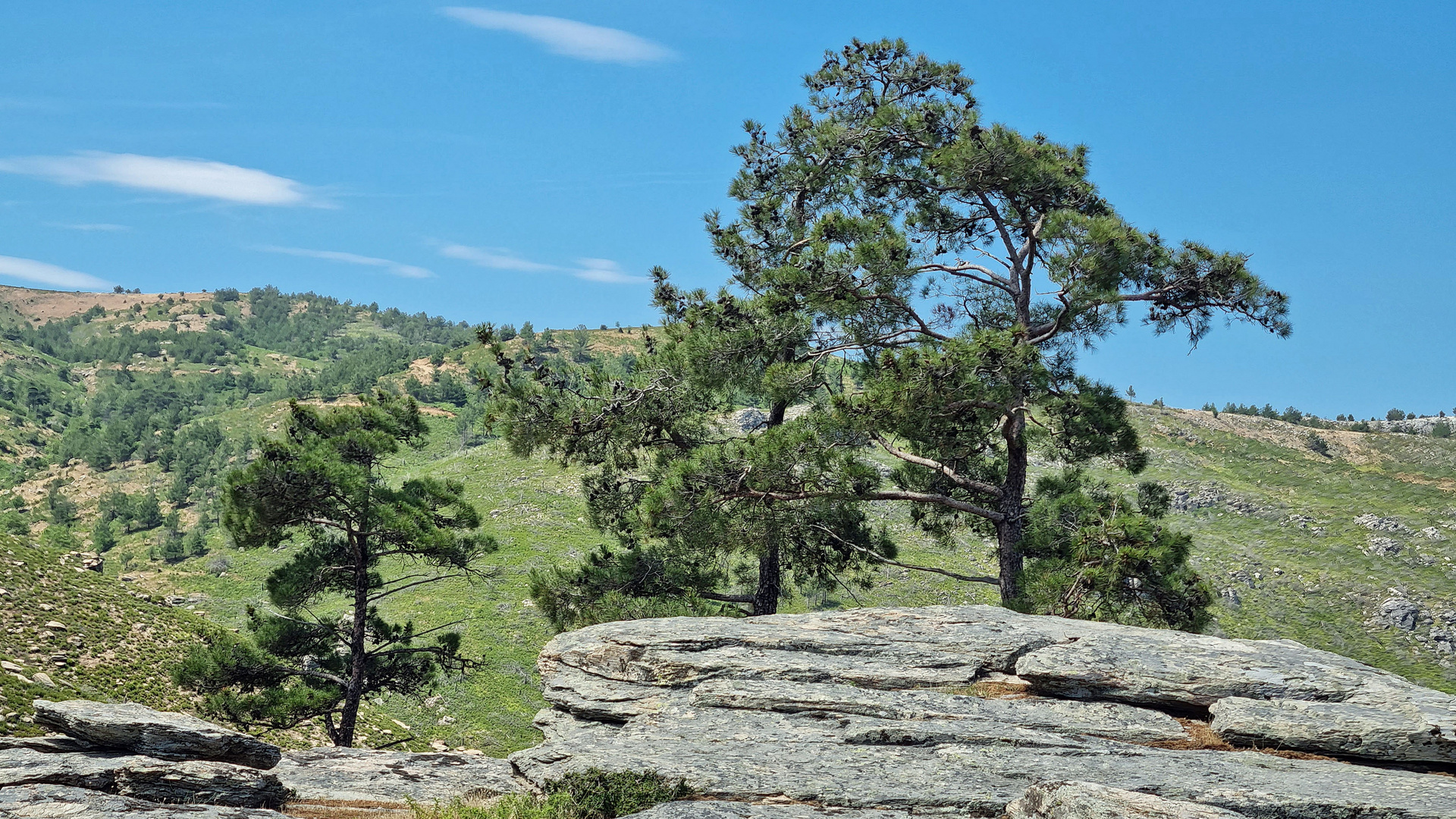 karge Landschaft auf Thassos