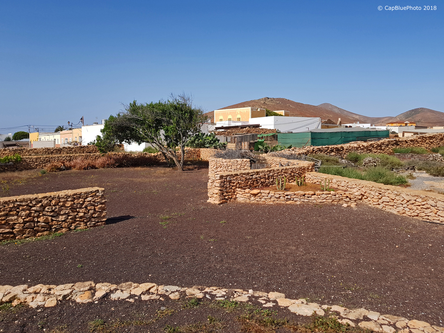 Karges Land Fuerteventura Land der Mühlen und Ziegen