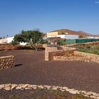 Karges Land Fuerteventura Land der Mühlen und Ziegen
