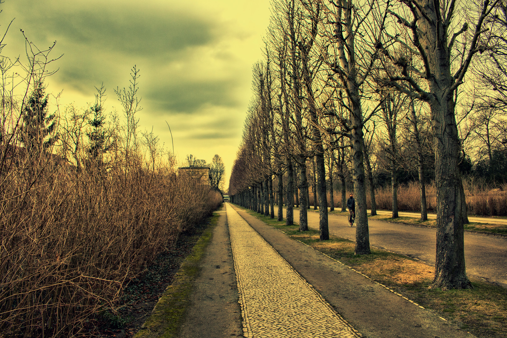 Karges Land im Park Sanssouci