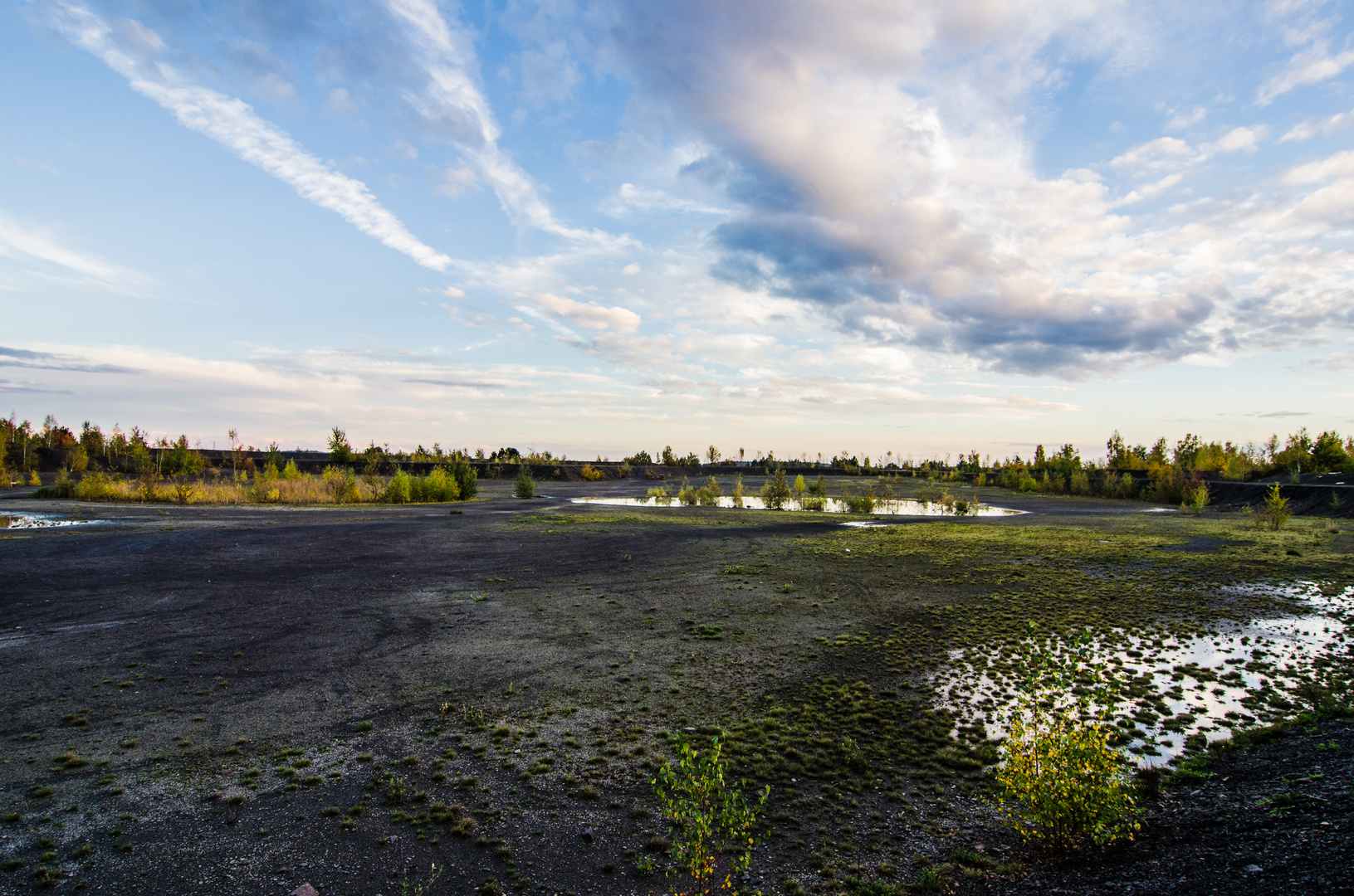 Karges Plateau der Halde Lydia Camphausen