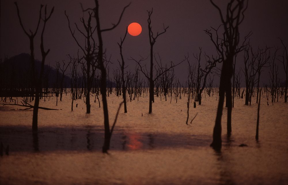 Kariba von Hans-Werner Scheller 