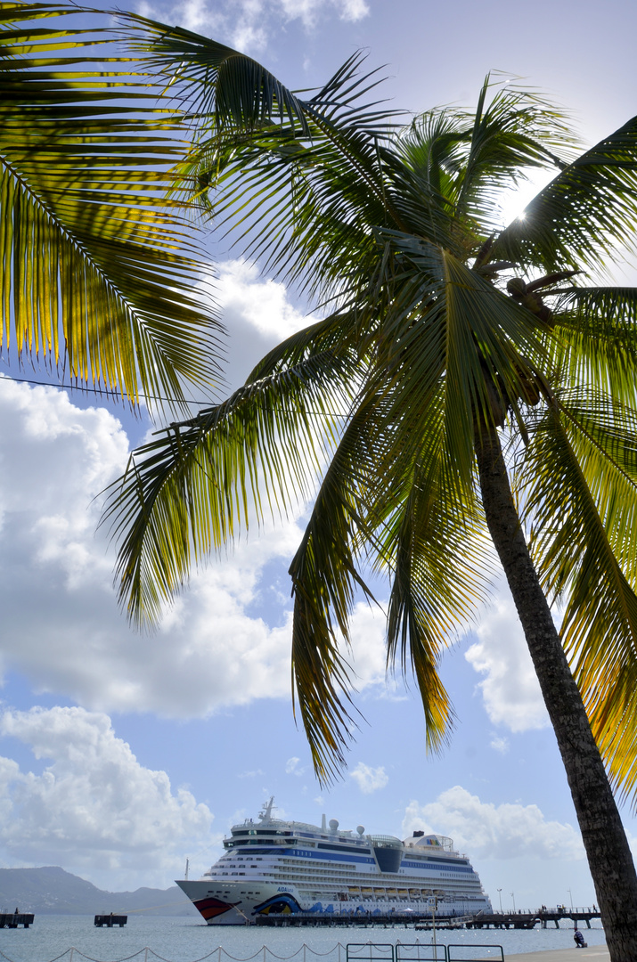 Karibik Martinique 2019