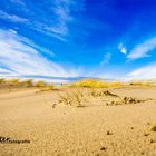 Karibik oder doch #Warnemünde #Richterfotografie