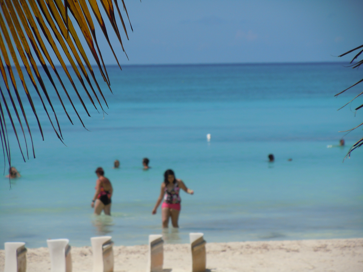 karibik / saona / bacardi insel