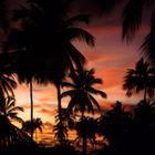 Karibik Sunset3