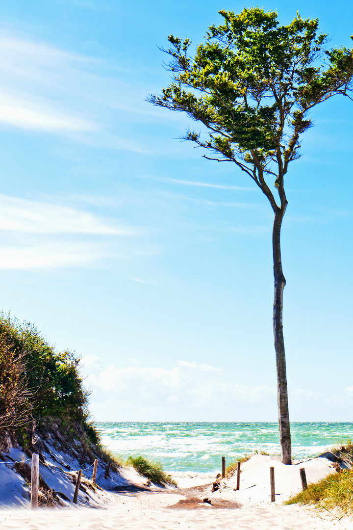 Karibikfeeling an der Ostsee