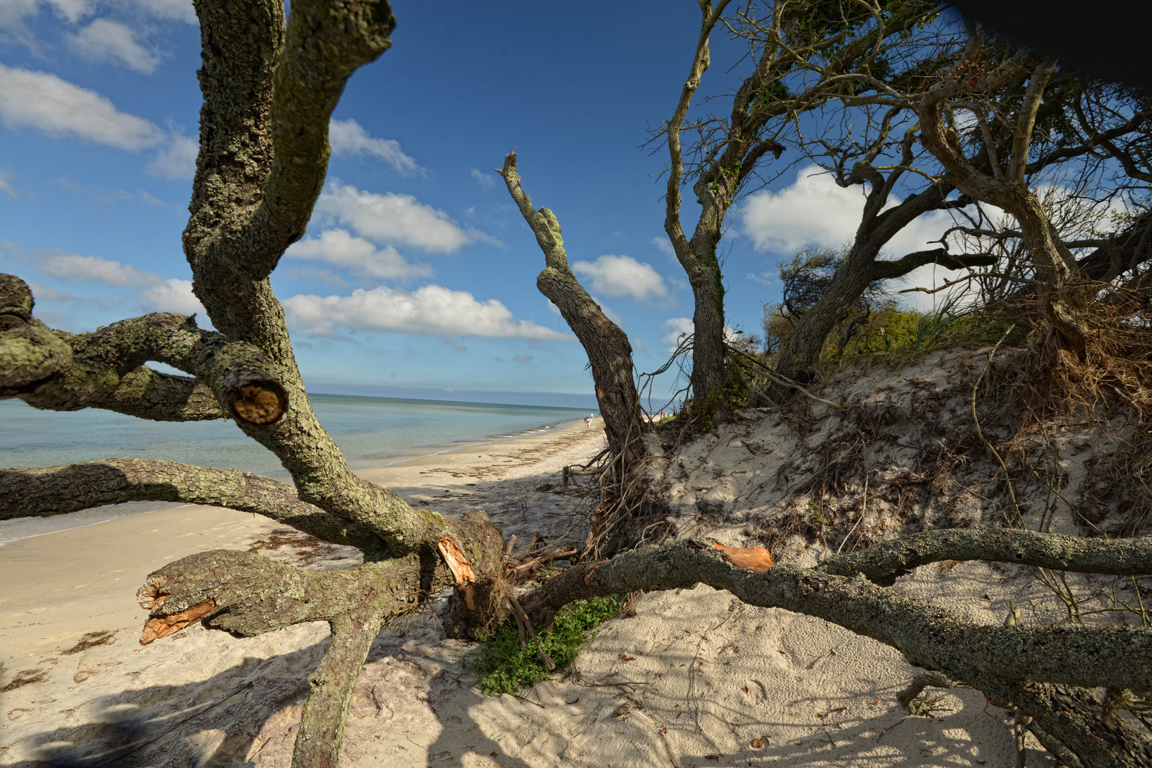 Karibische Gefühle am Weststrand /Darß