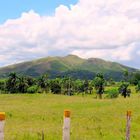 Karibische Landschaft (Dom.-Rep.)