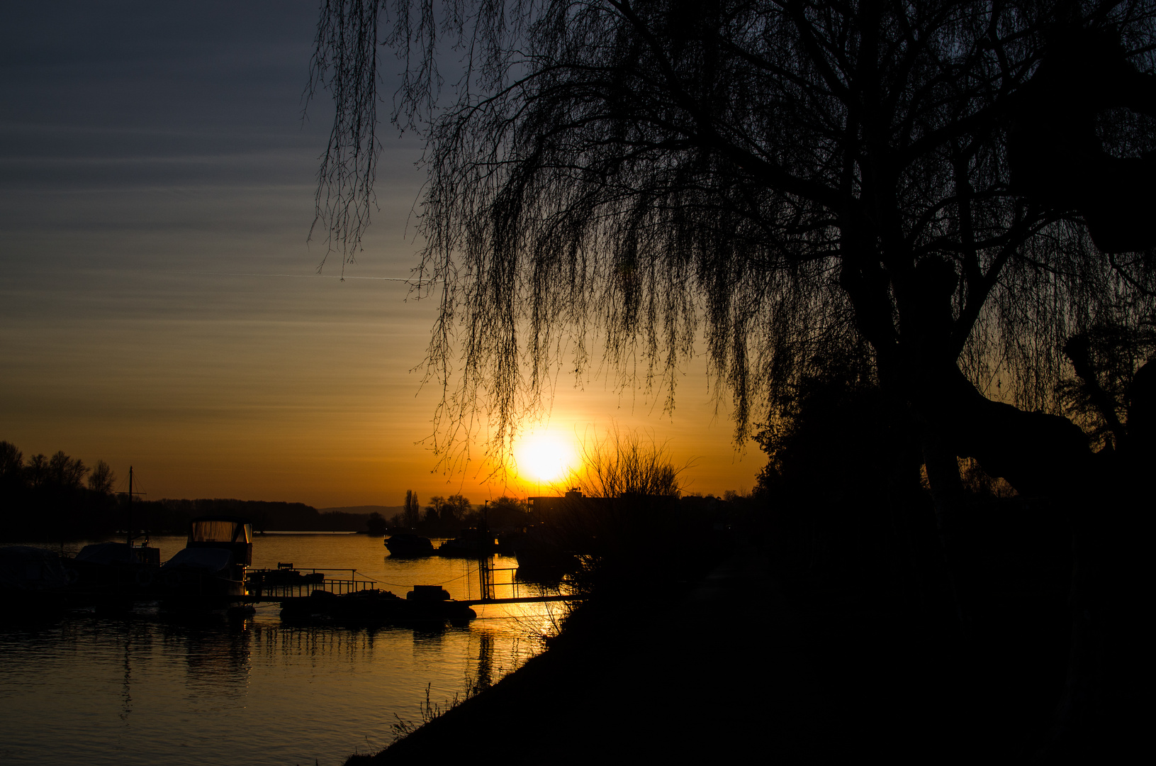 Karibischer Rhein