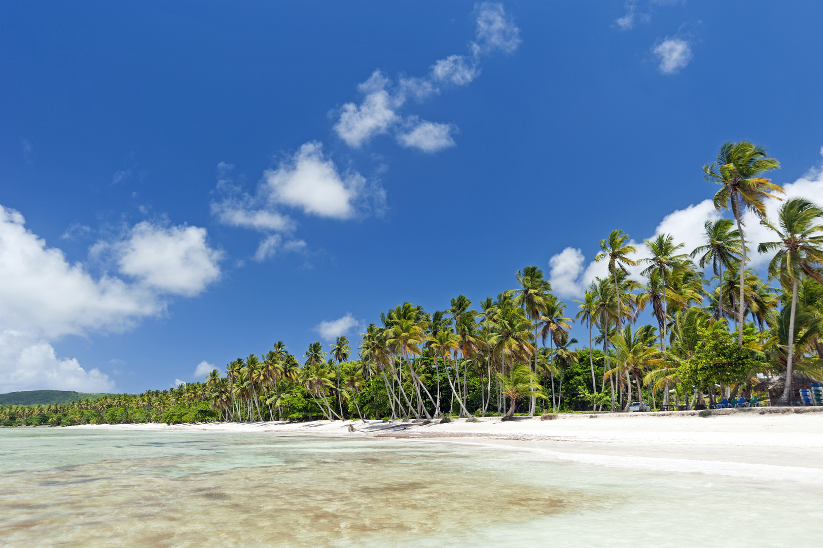 Karibischer Strand