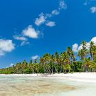 Karibischer Strand