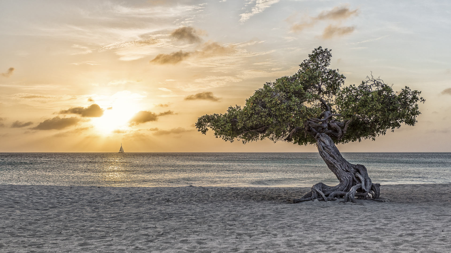 Karibischer Traum - Aruba