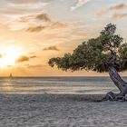 Karibischer Traum - Aruba