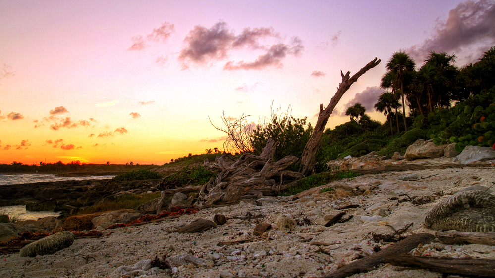 karibischer wildstrand