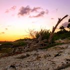 karibischer wildstrand