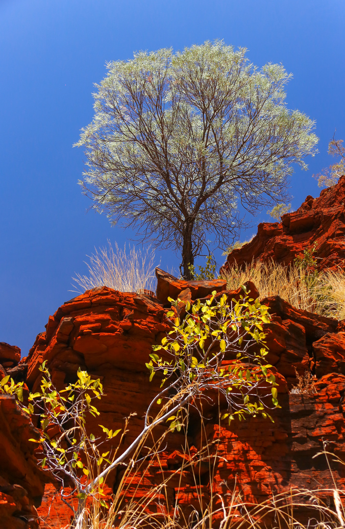 Karijini 17