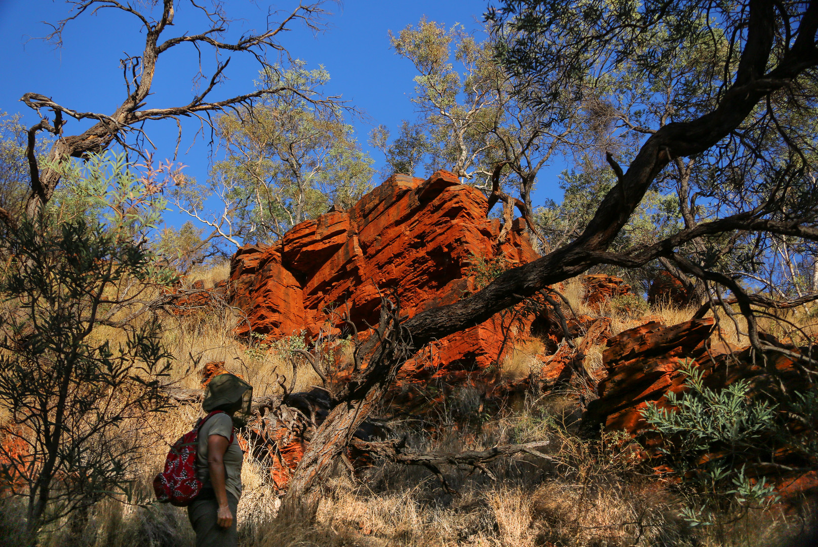 Karijini 29