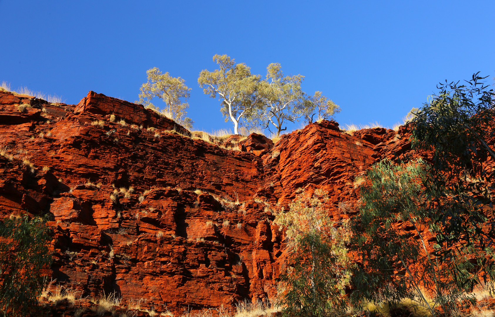 Karijini 31