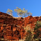 Karijini 31