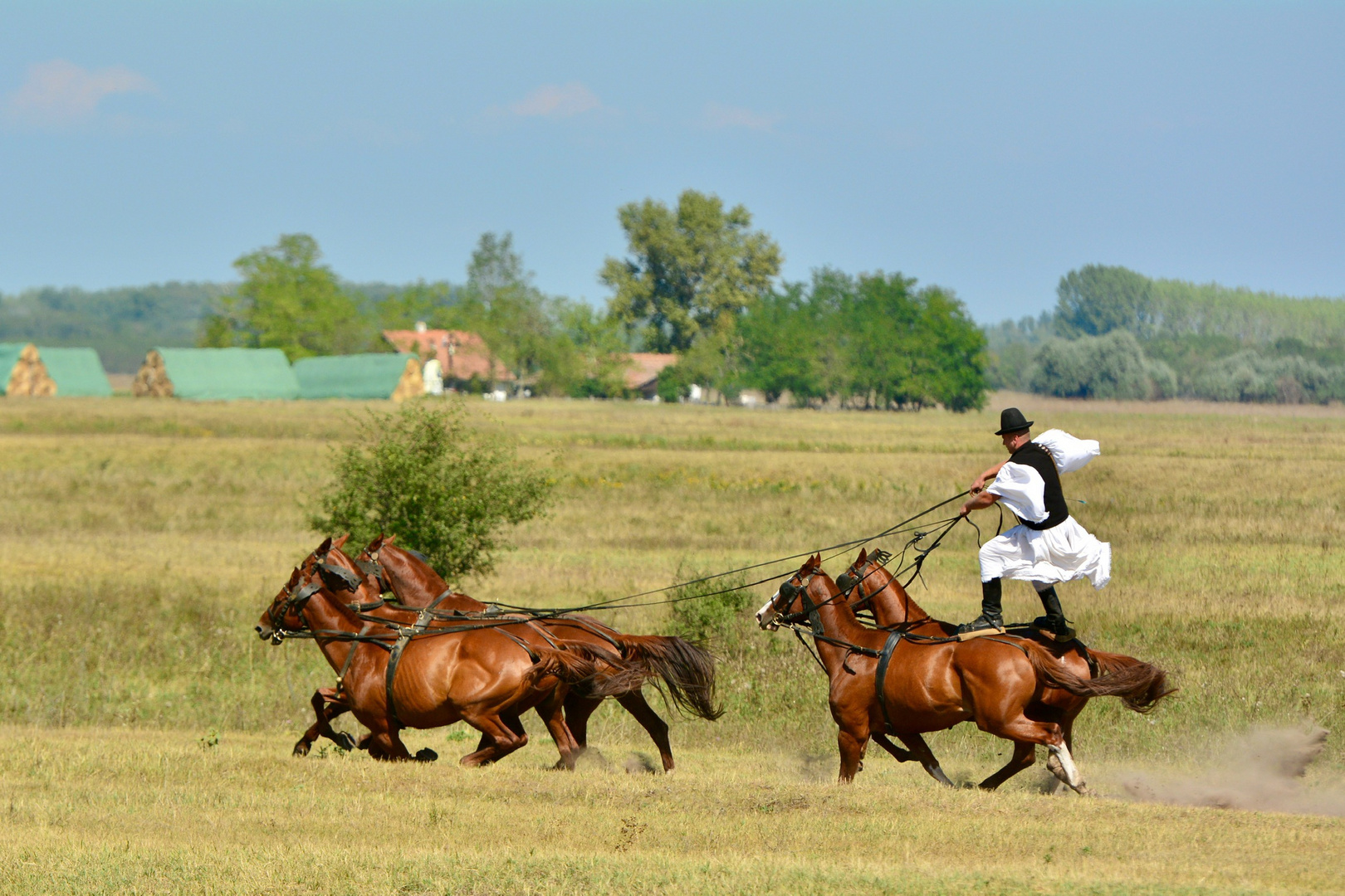 Karikas Csarda 1 Foto & Bild | landschaft, natur, tiere Bilder auf ...