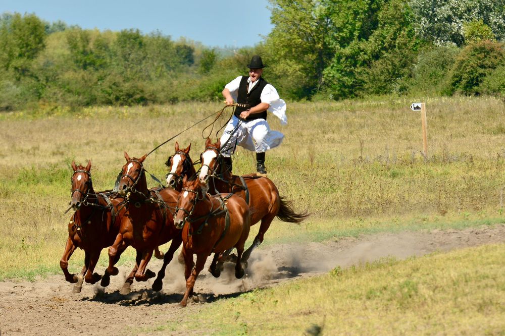 Karikas Csarda 2 Foto & Bild | landschaft, natur, tiere Bilder auf ...