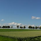 Karin Geometrie der Landschaft.Rheinhessen