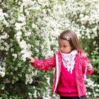 Karina mit weisen Blüten 1