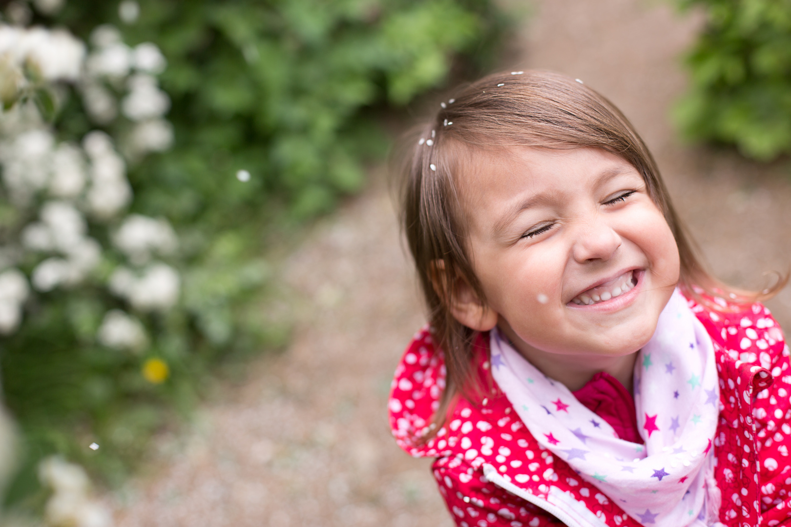 Karina mit weisen Blüten 4