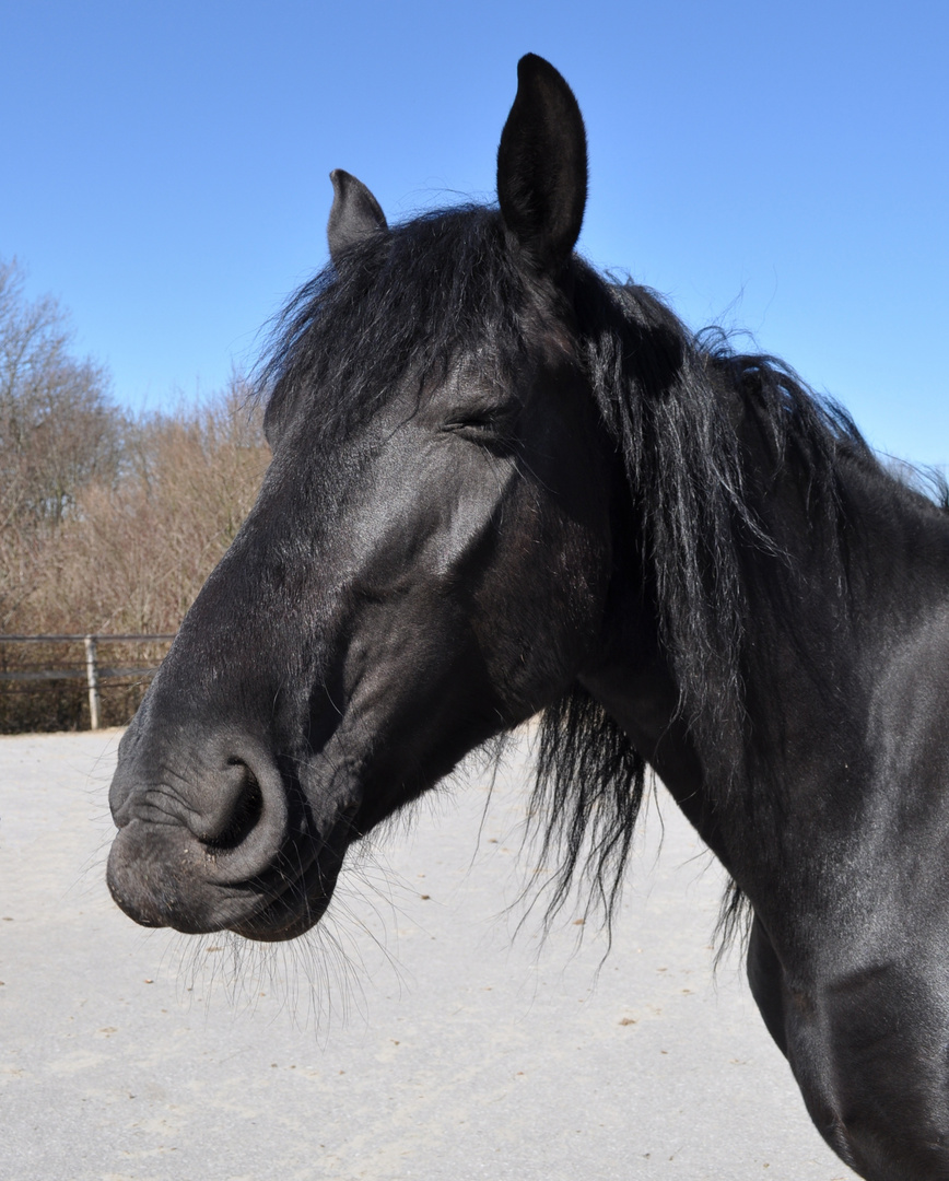 Karina: "wo ist meine Sonnenbrille"