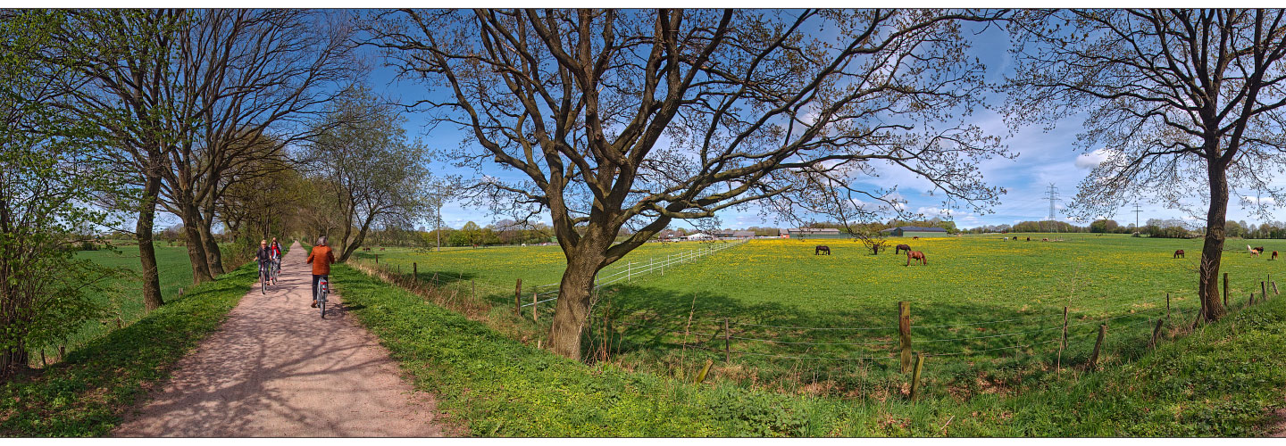 Karl-Barmstedt-Weg in Henstedt-Ulzburg