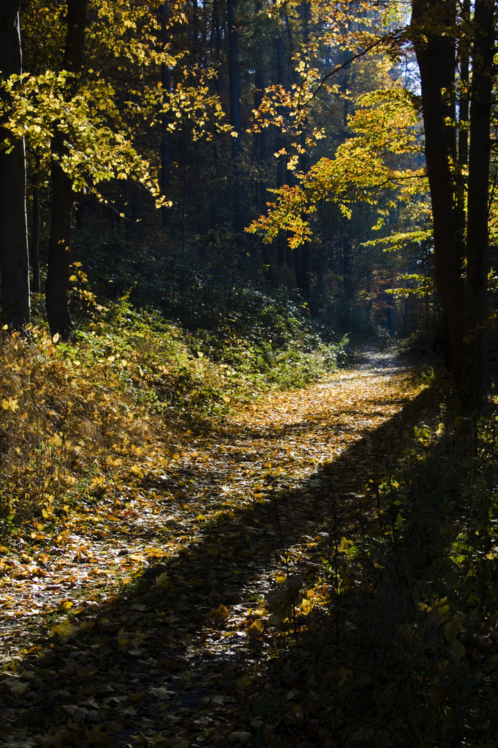 Karl-Stülpner-Wanderweg