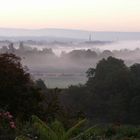 Karlsaue im Morgennebel