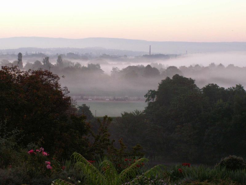 Karlsaue im Morgennebel