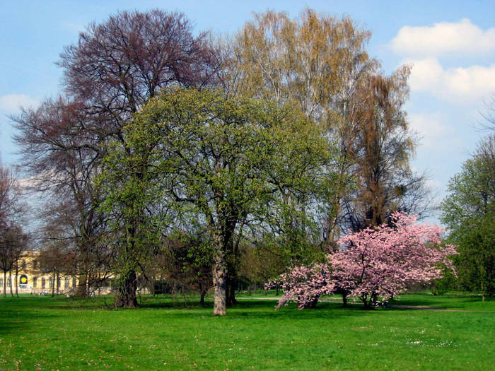 Karlsaue in Kassel