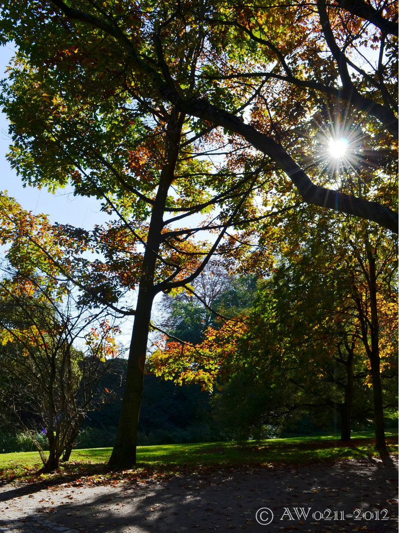 Karlsaue Kassel im Herbst