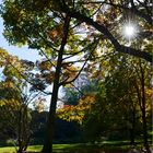 Karlsaue Kassel im Herbst