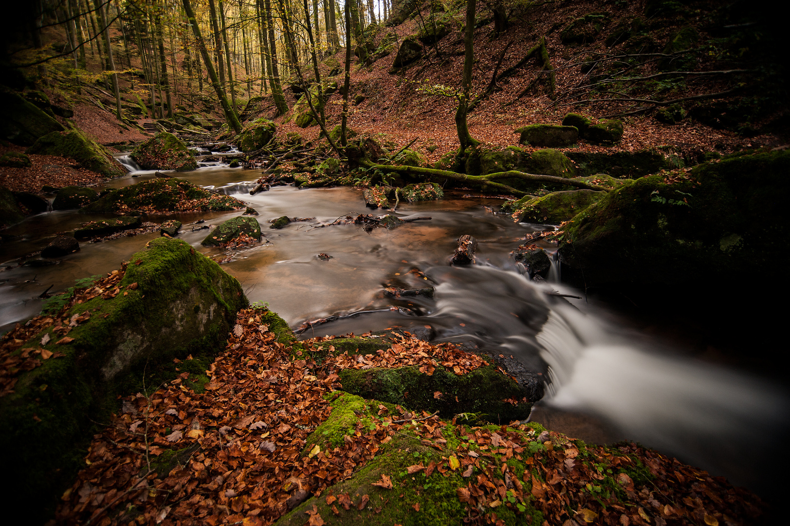 Karlsbachtal (Moosalben ) Bei Trippstadt, Pfälzerwald