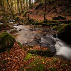 Karlsbachtal (Moosalben ) Bei Trippstadt, Pfälzerwald