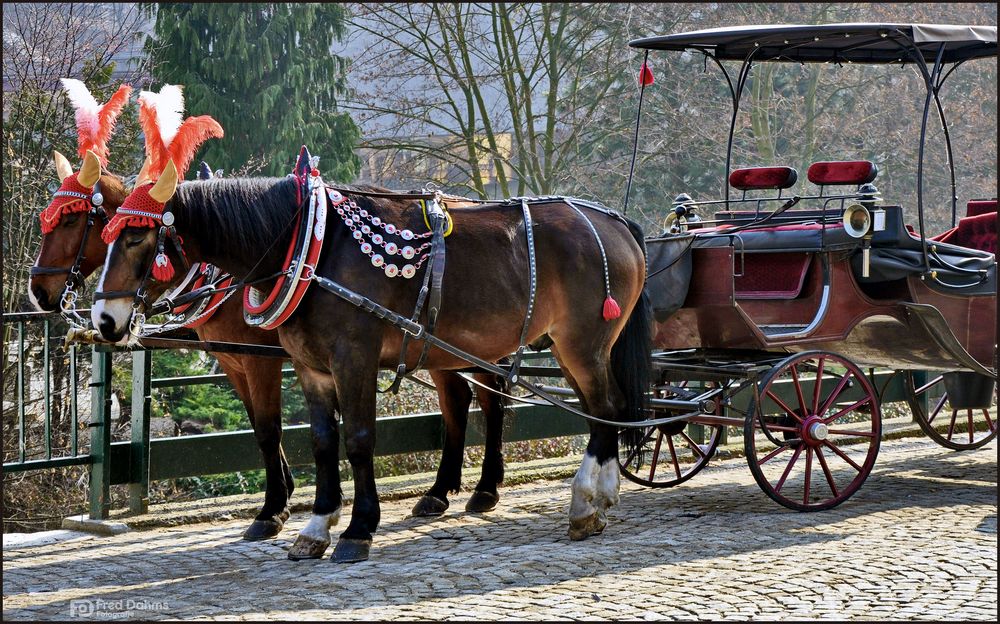 Karlsbad (Karlovy Vary), Centrum Neustadt