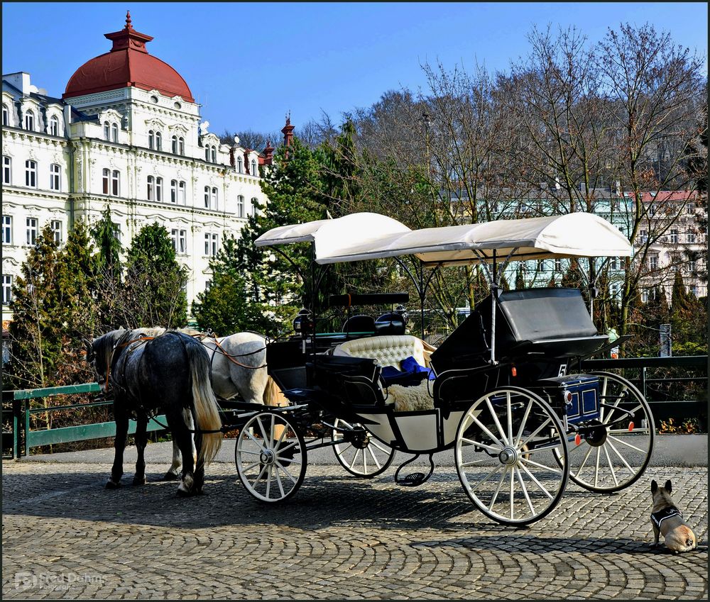 Karlsbad (Karlovy Vary), Centrum Neustadt