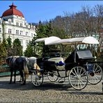 Karlsbad (Karlovy Vary), Centrum Neustadt