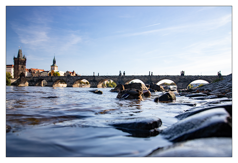 Karlsbrücke