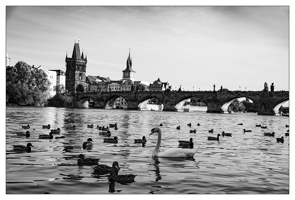 -Karlsbrücke-