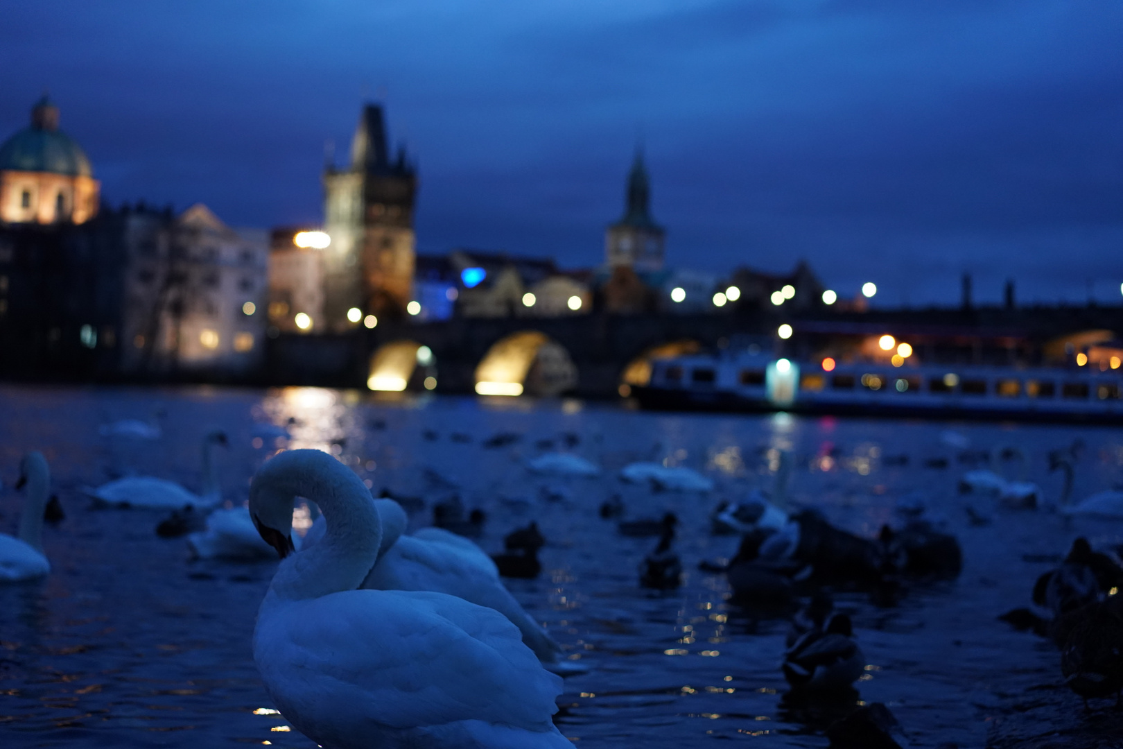 Karlsbrücke bei Abenddämmerung 