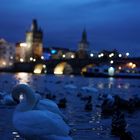 Karlsbrücke bei Abenddämmerung 