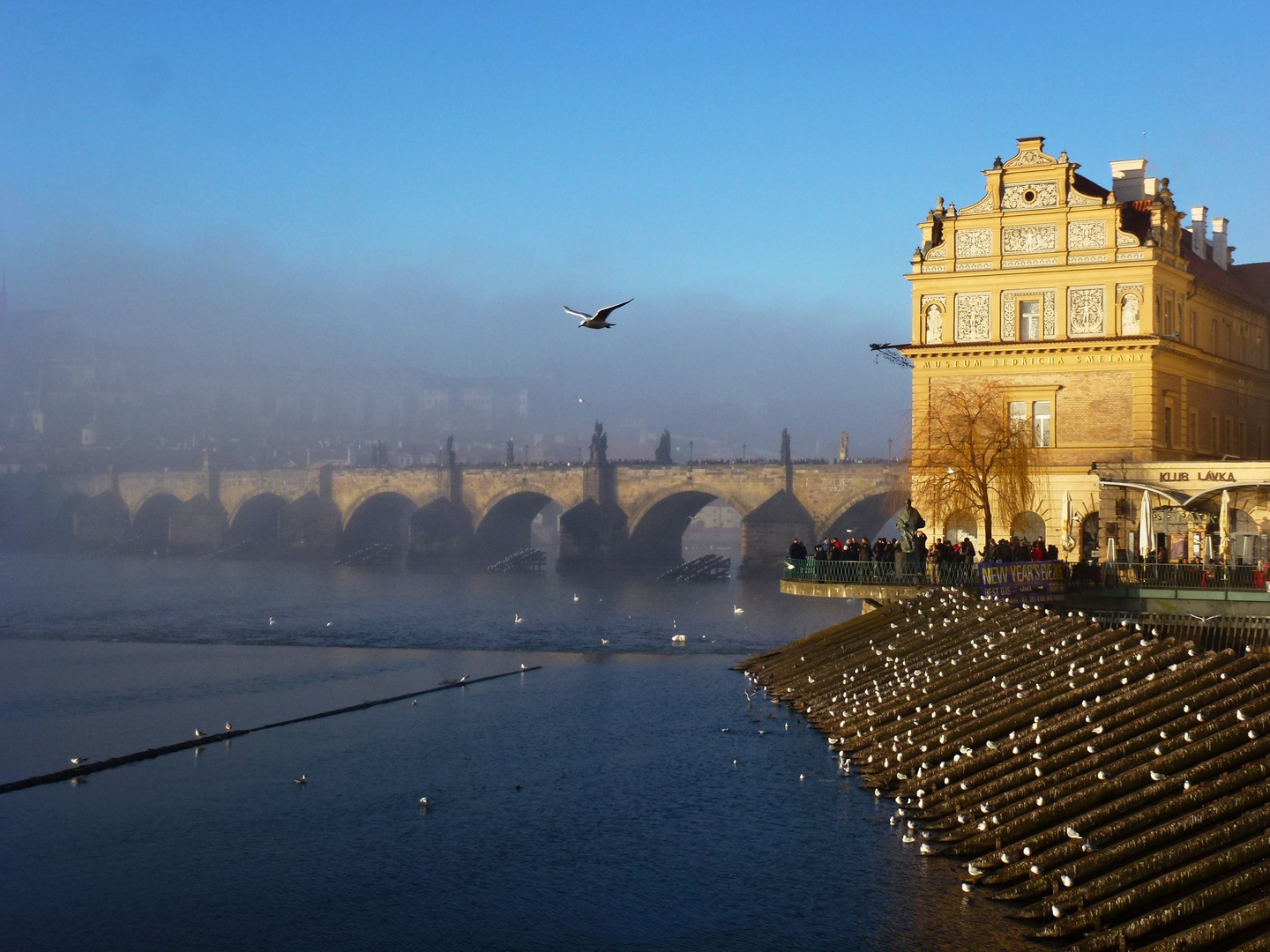 Karlsbruecke in Prag