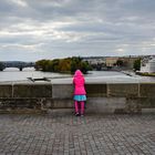 Karlsbrücke in Prag