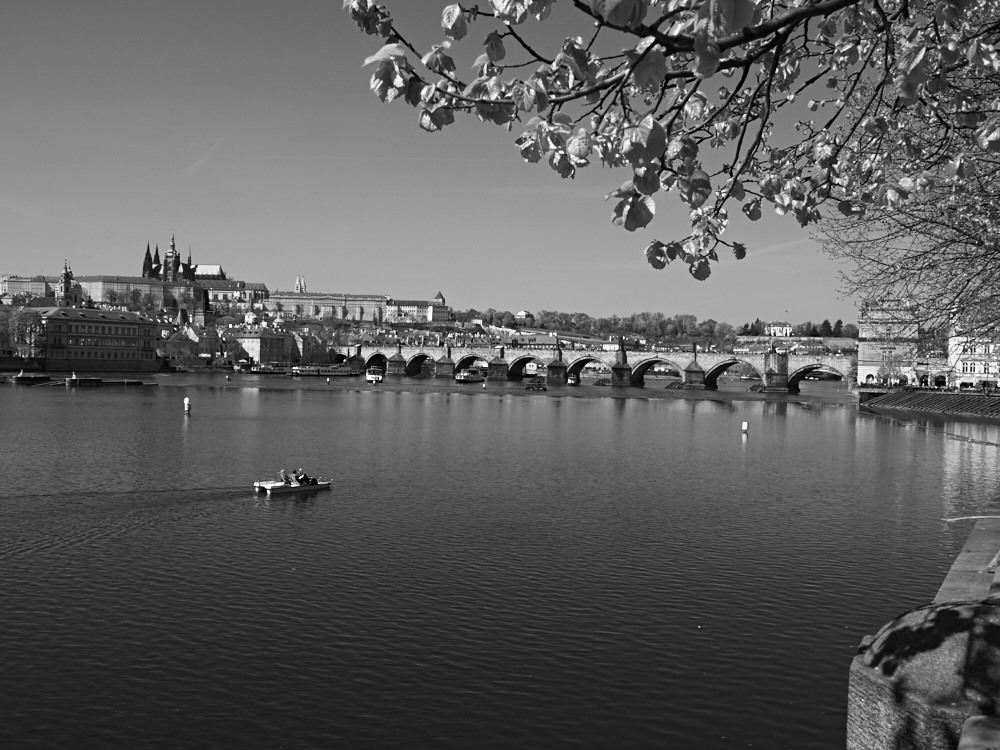 Karlsbrücke in Prag