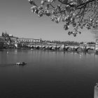 Karlsbrücke in Prag